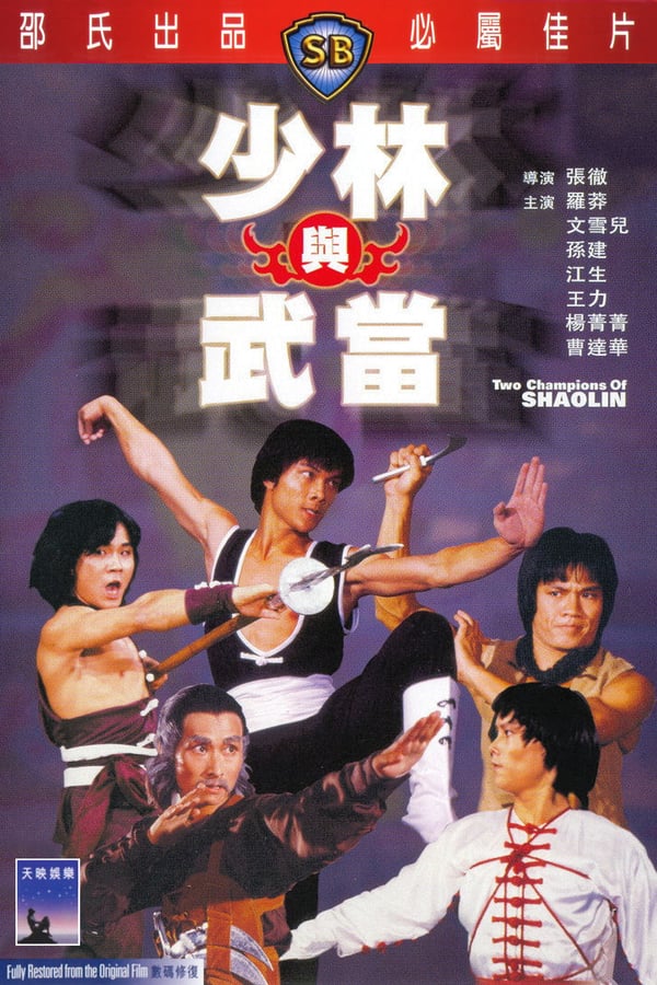 Cover of the movie Two Champions of Shaolin
