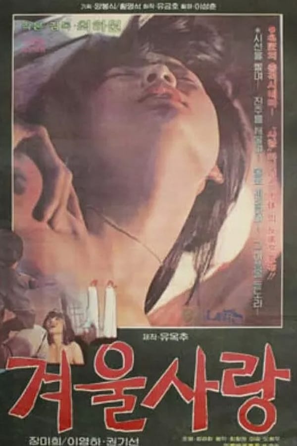 Cover of the movie Winter Love