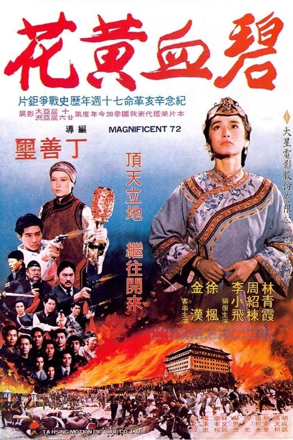Cover of the movie 碧血黃花