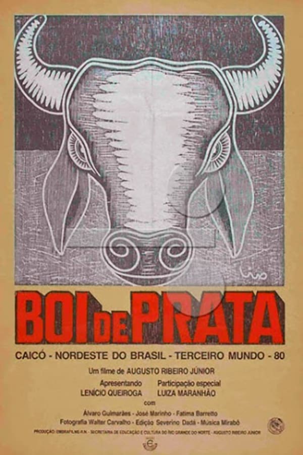 Cover of the movie Boi de Prata