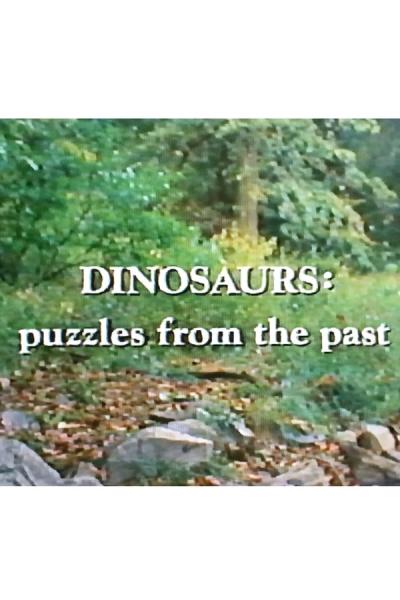 Cover of Dinosaurs: Puzzles from the Past