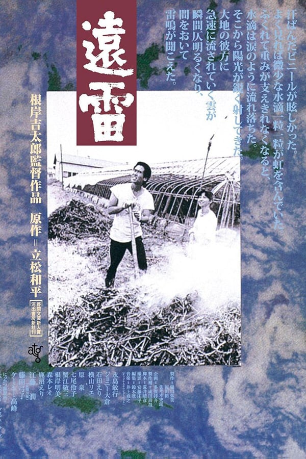 Cover of the movie Distant Thunder