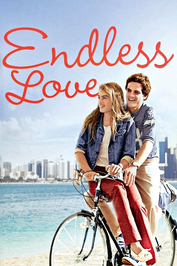 Cover of the movie Endless Love