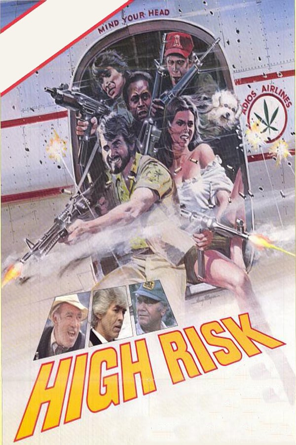Cover of the movie High Risk