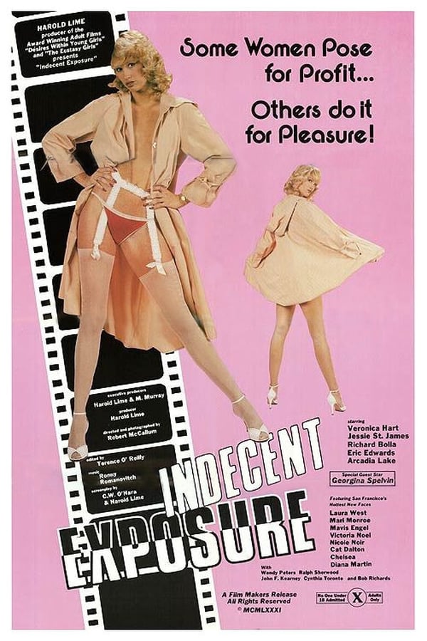 Cover of the movie Indecent Exposure