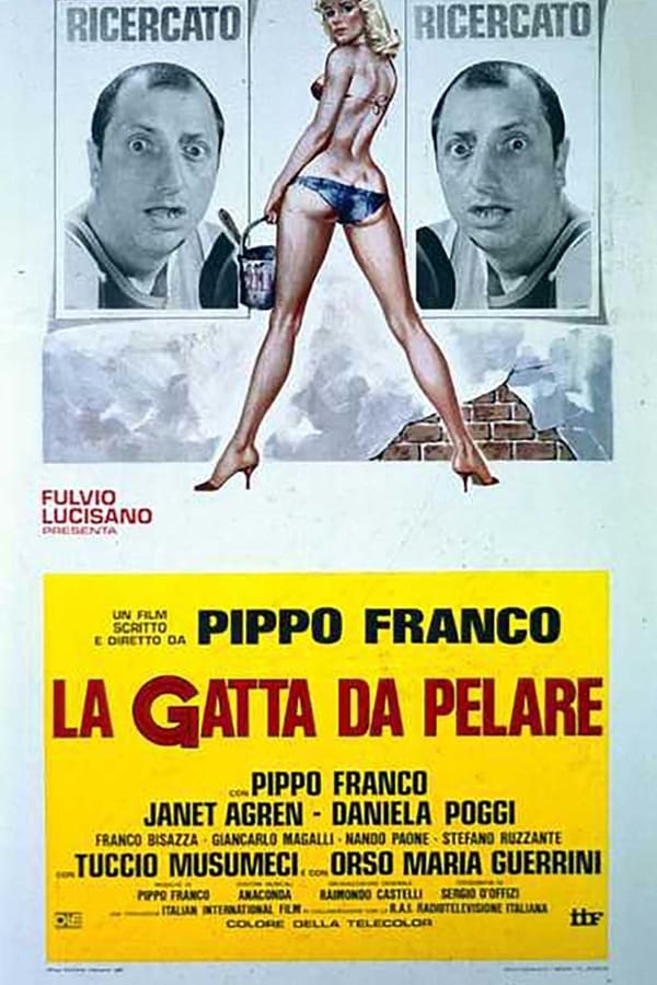 Cover of the movie La gatta da pelare
