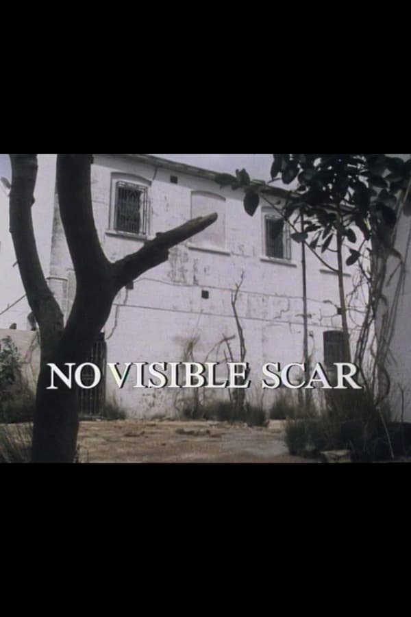 Cover of the movie No Visible Scar