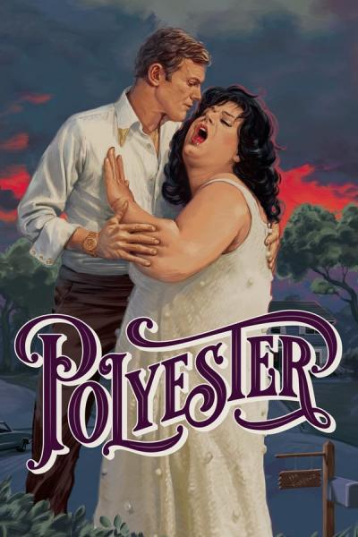 Cover of Polyester