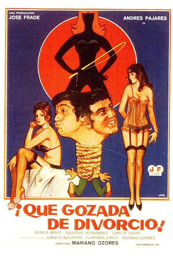 Cover of the movie ¡Qué gozada de divorcio!
