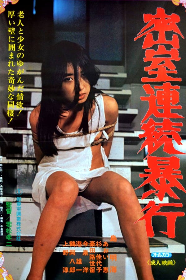 Cover of the movie Serial Rape in a Secret Room