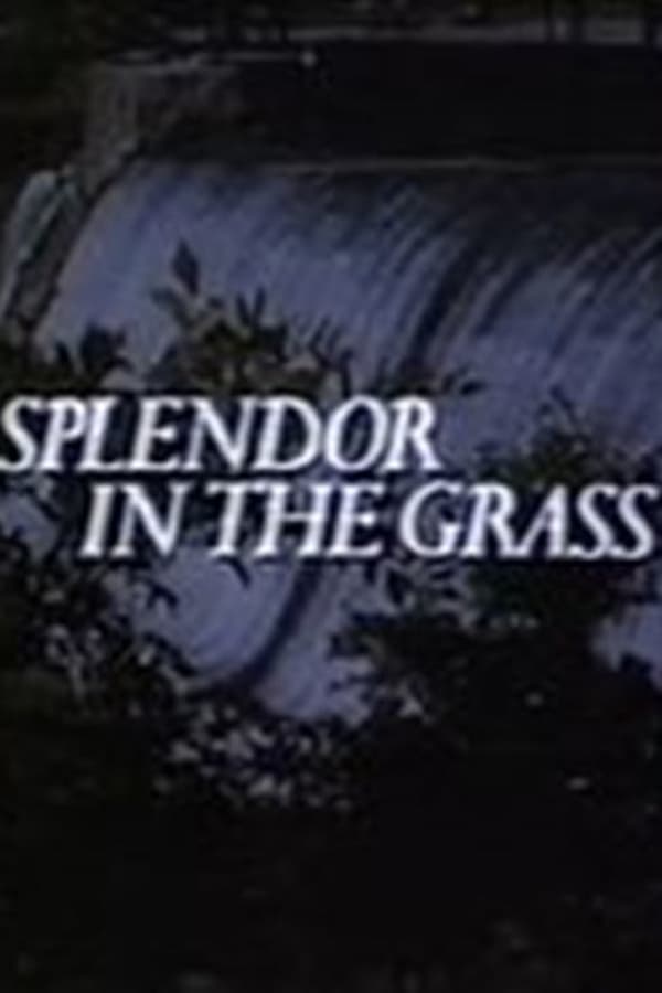 Cover of the movie Splendor in the Grass