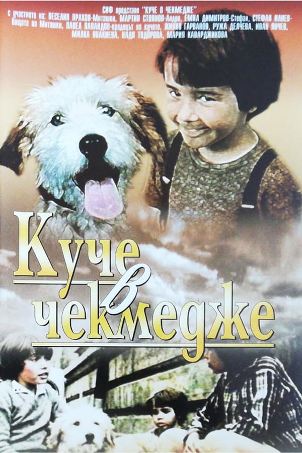 Cover of the movie A Dog in a Drawer