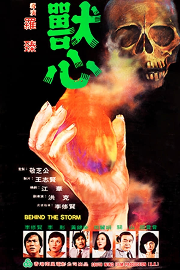 Cover of the movie Behind the Storm
