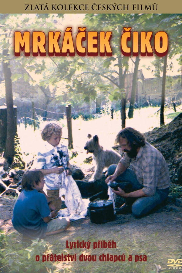 Cover of the movie Blinker-Ciko
