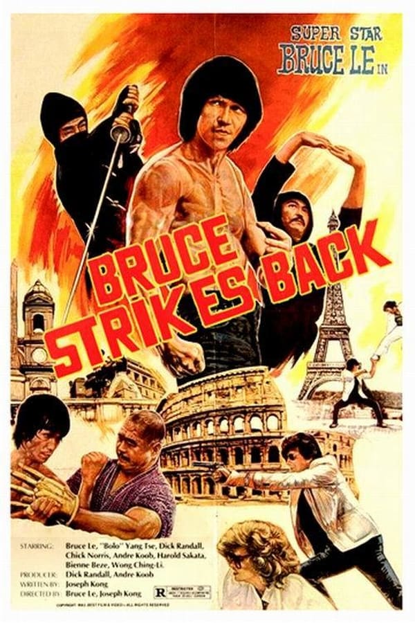 Cover of the movie Bruce Strikes Back