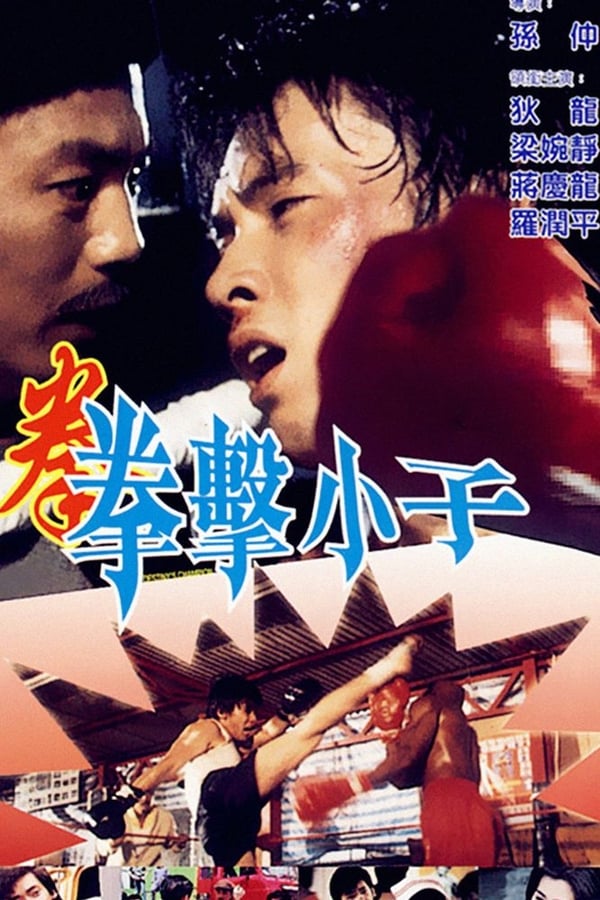 Cover of the movie Destiny's Champion