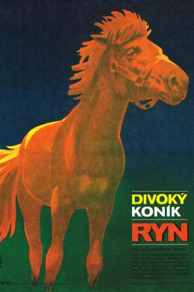 Cover of the movie Divoký koník Ryn