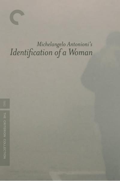Cover of the movie Identification of a Woman