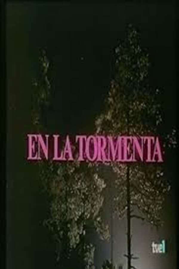 Cover of the movie In the Storm