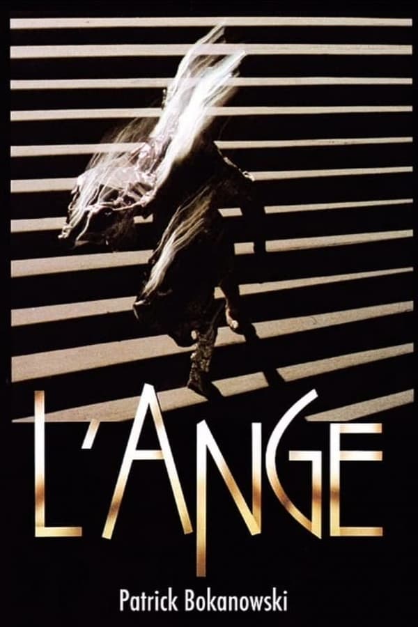 Cover of the movie L'Ange
