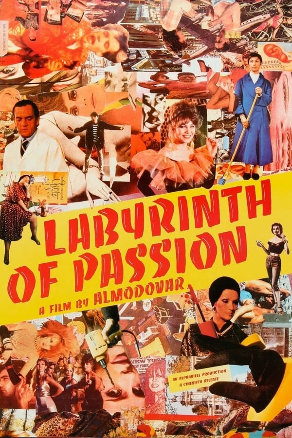 Cover of the movie Labyrinth of Passion