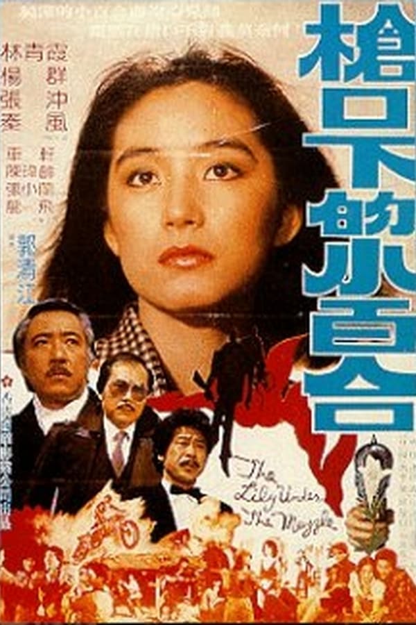 Cover of the movie Lily Under the Gun