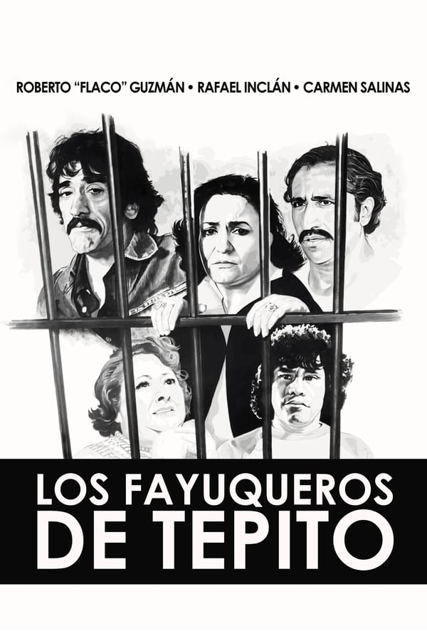 Cover of the movie Los fayuqueros de Tepito