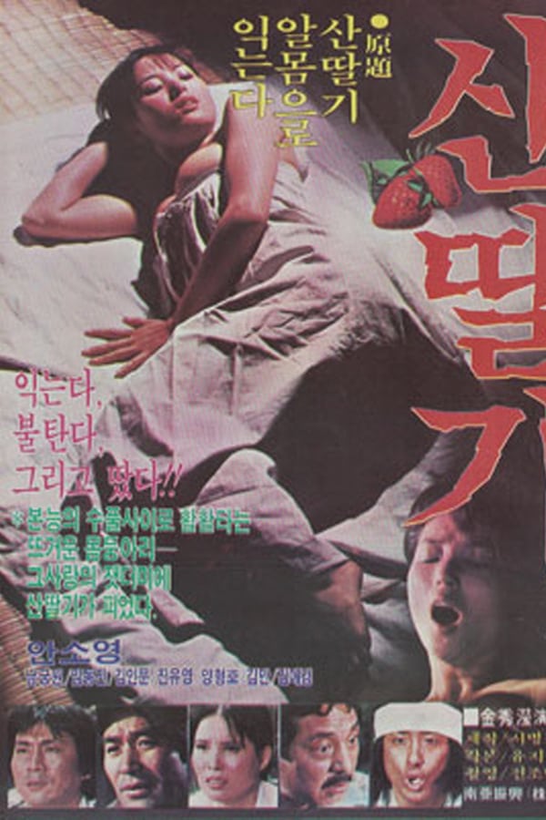 Cover of the movie Mountain Strawberries