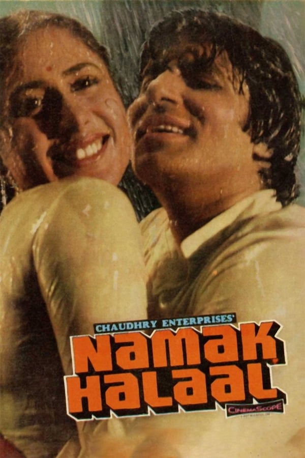 Cover of the movie Namak Halaal