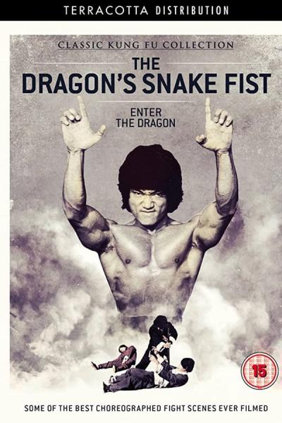 Cover of the movie The Dragon's Snake Fist