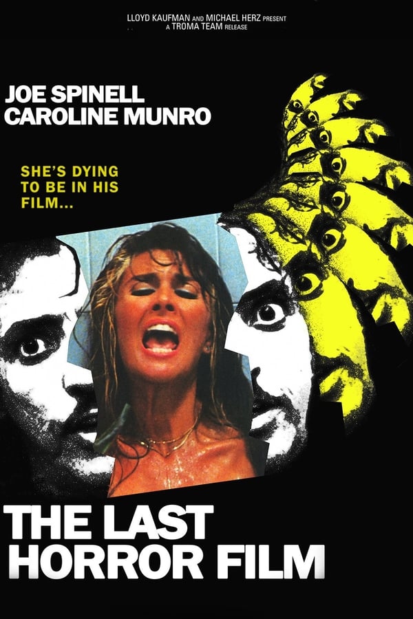 Cover of the movie The Last Horror Film