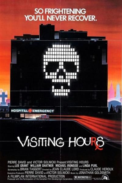 Cover of the movie Visiting Hours