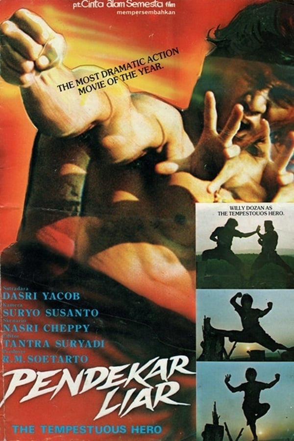 Cover of the movie Wild Fighter