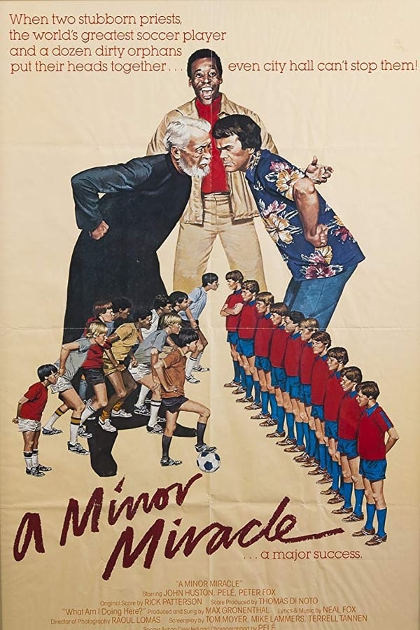 Cover of the movie A Minor Miracle