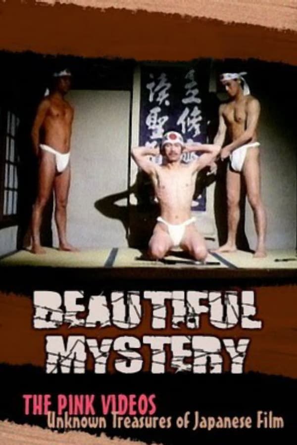 Cover of the movie Beautiful Mystery
