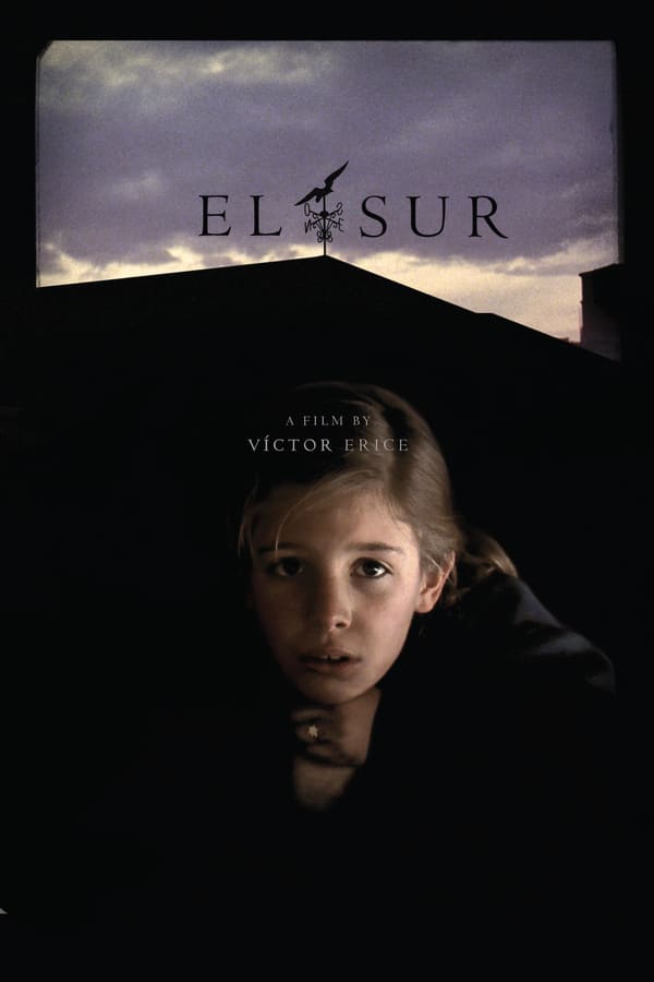 Cover of the movie El Sur