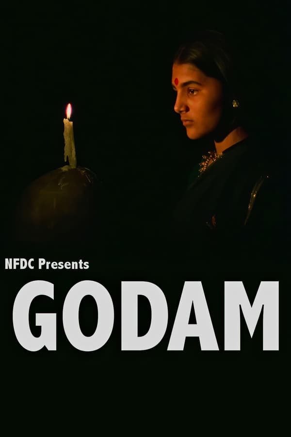 Cover of the movie Godam