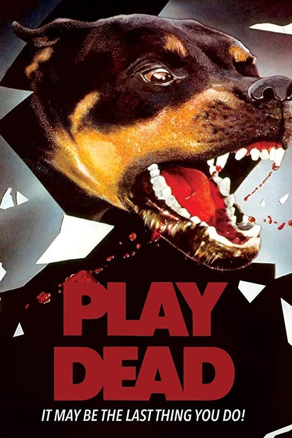 Cover of the movie Play Dead