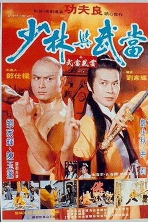 Cover of the movie Shaolin & Wu Tang
