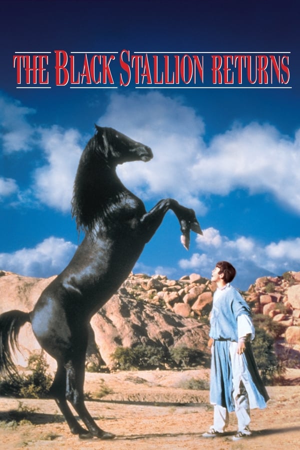 Cover of the movie The Black Stallion Returns