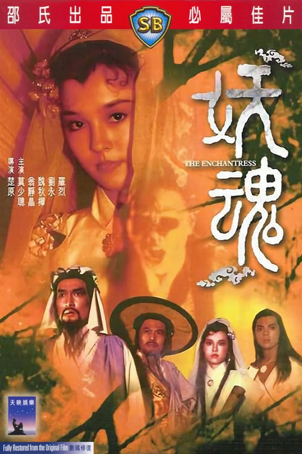 Cover of the movie The Enchantress
