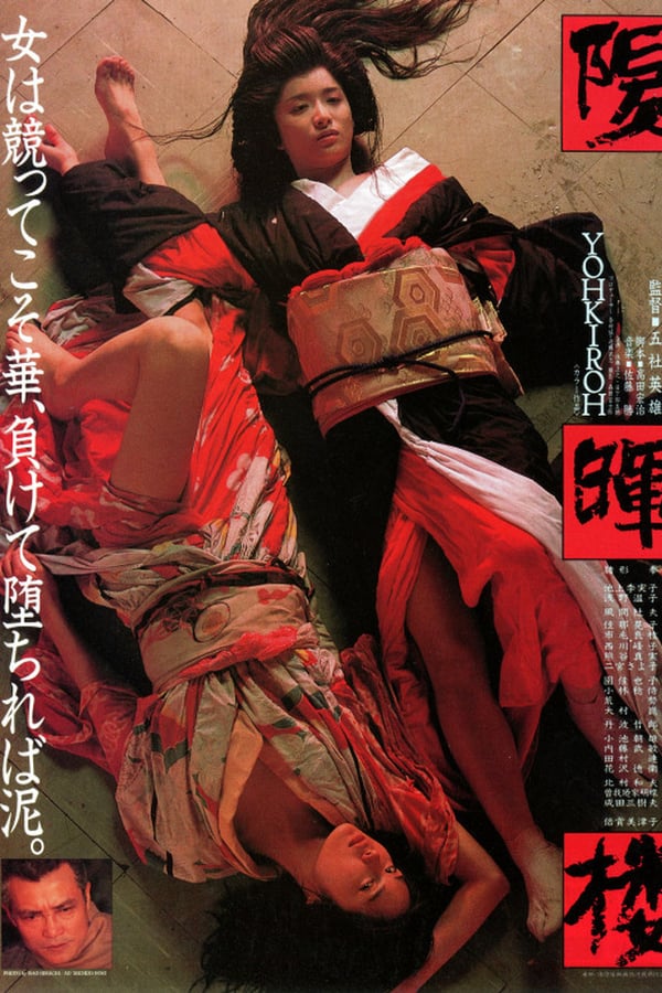 Cover of the movie The Geisha