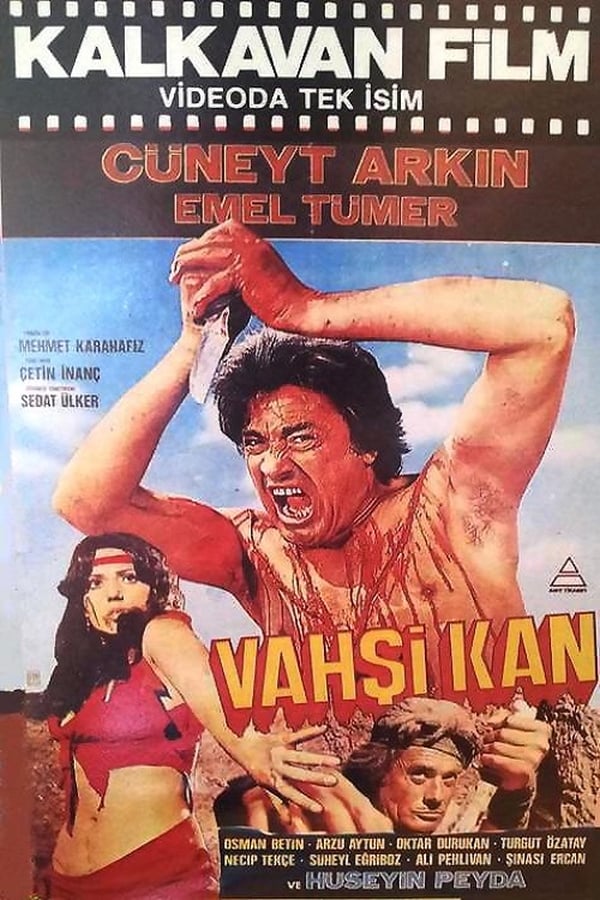 Cover of the movie Turkish First Blood