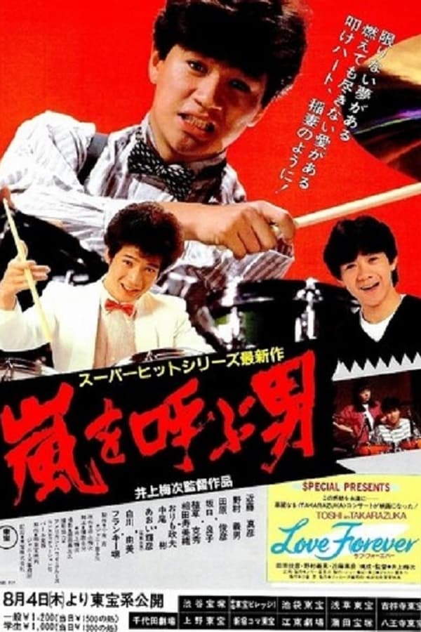Cover of the movie 嵐を呼ぶ男