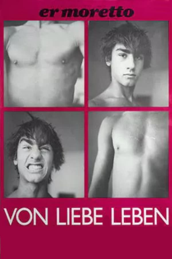 Cover of the movie Er Moretto - Von Lieben leben