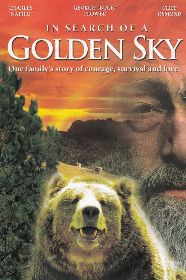 Cover of the movie In Search of a Golden Sky