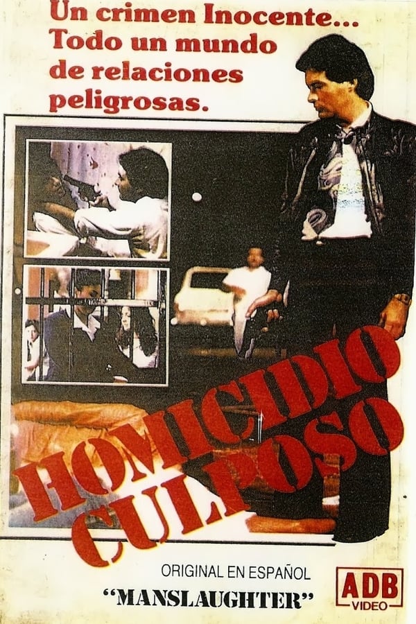 Cover of the movie Manslaughter