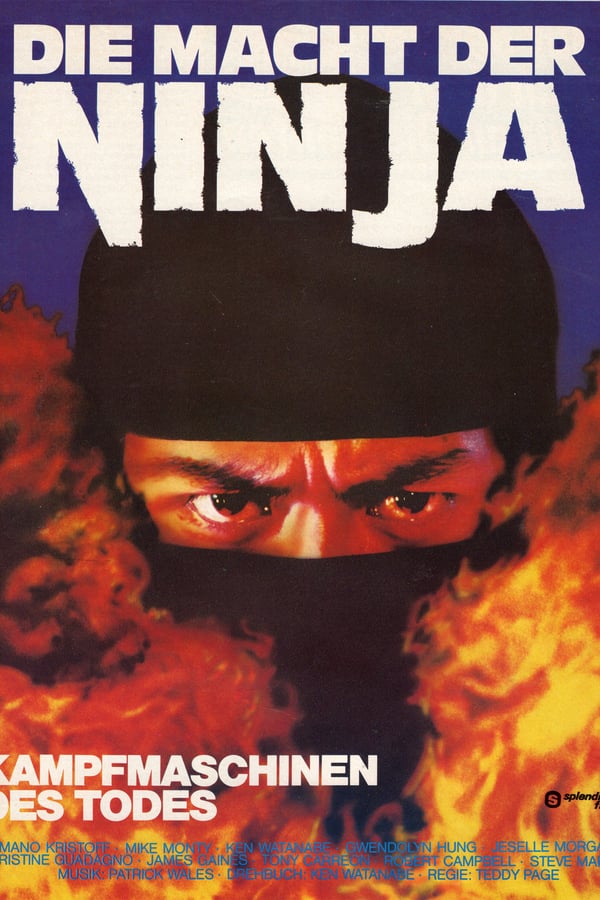 Cover of the movie Ninja's Force