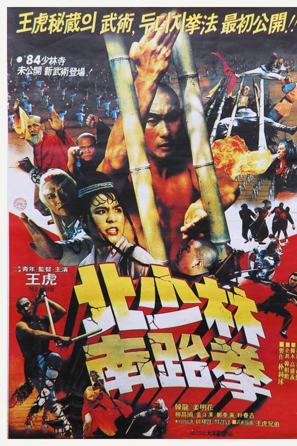 Cover of the movie South Shaolin vs. North Shaolin