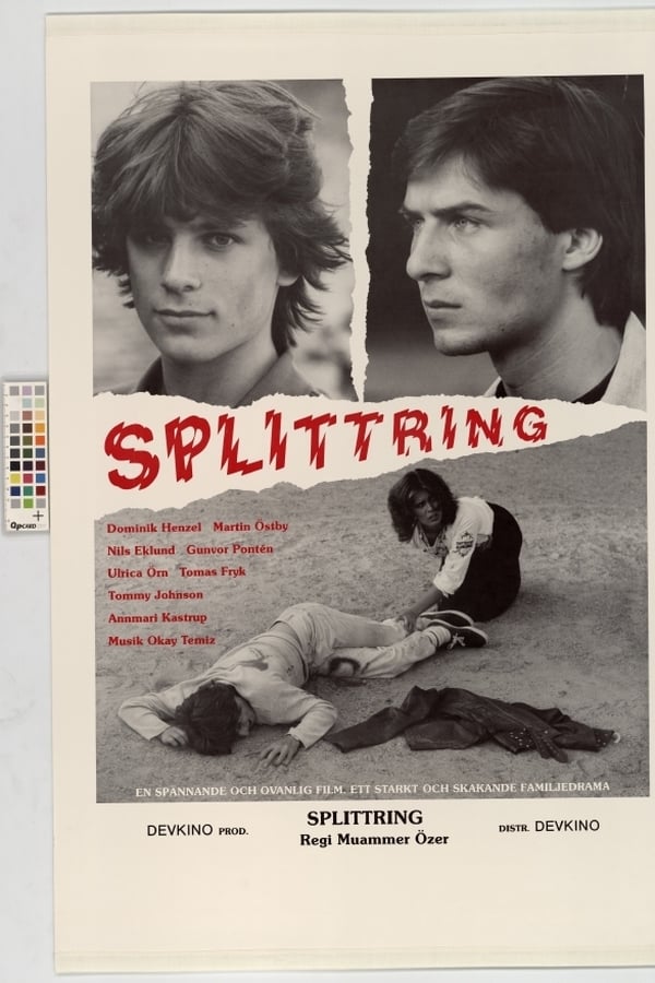 Cover of the movie Splittring